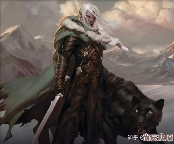 龙息神寂：神秘魔法师崔斯特·杜垩登传奇介绍