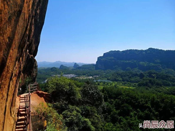 攀登巅峰：游人之靴鼓舞性能深度解析